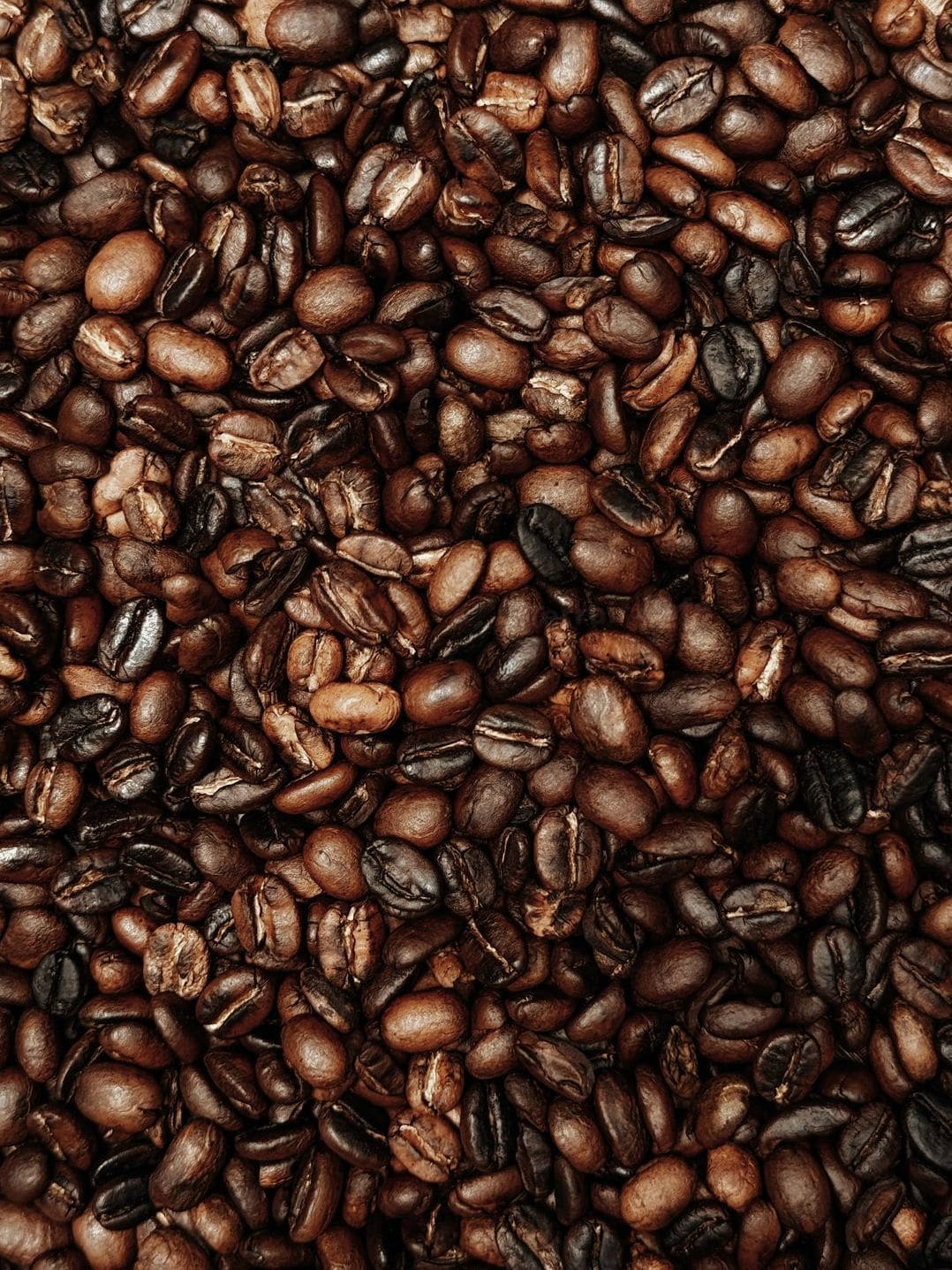 Terroir Café 10