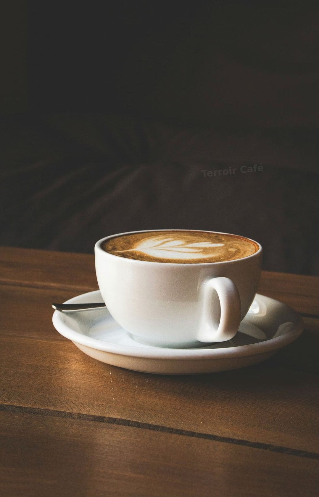 Terroir Café 7
