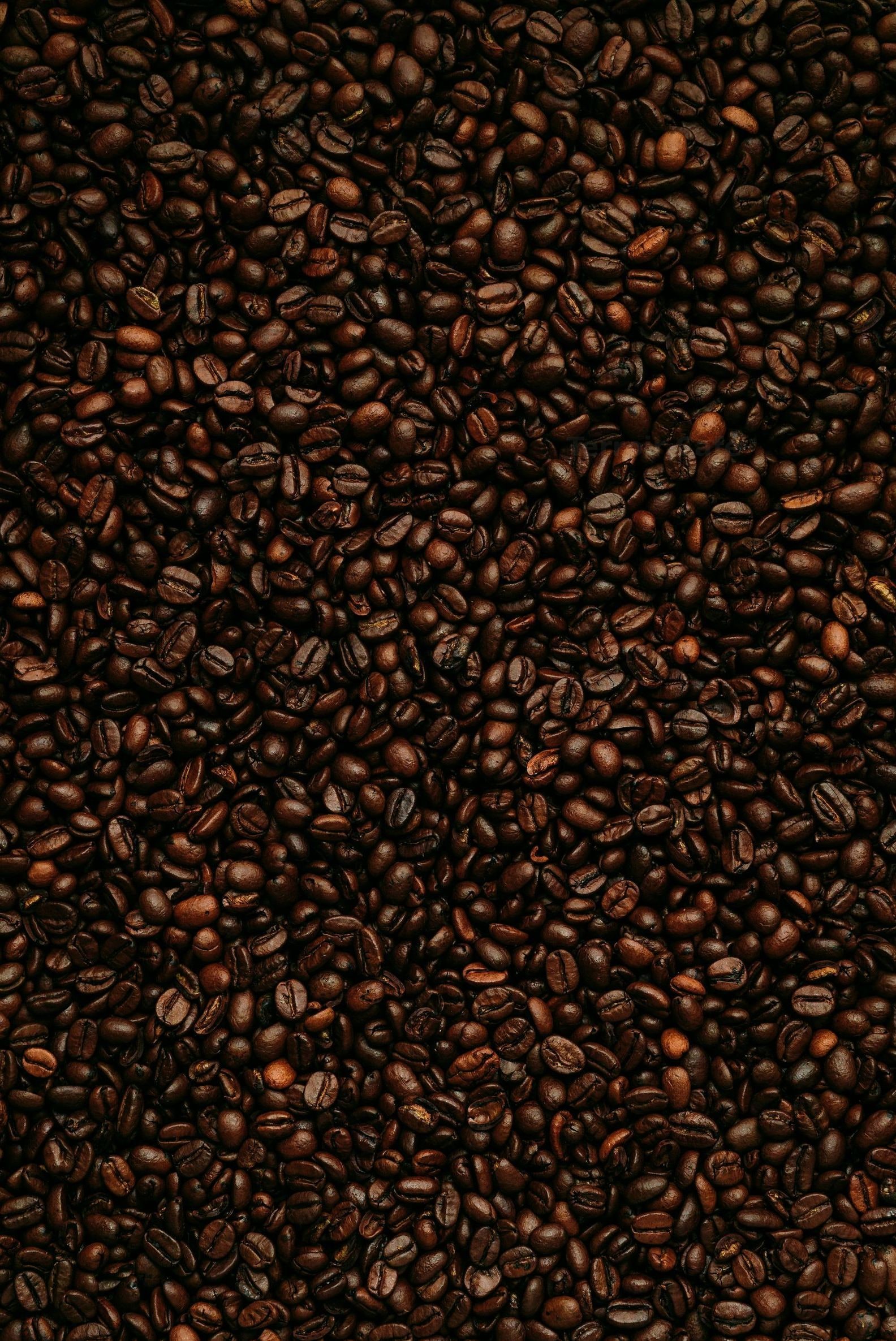 Terroir Café