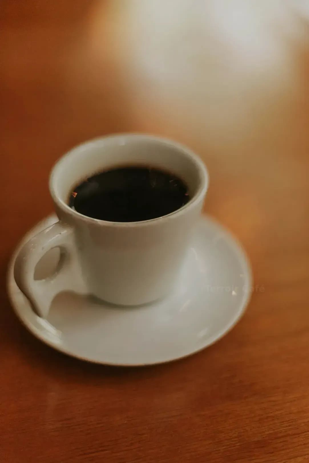 Dégustation de cafés de spécialité